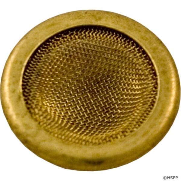 Pentair Sta-Rite Brass Screen for 1/4" Pressure Gauge - Wc8-72D