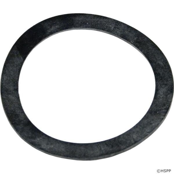 Pentair Gasket Bulkhead 2" - 154538