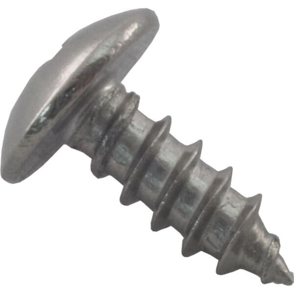 Pentair Screw for Lock Spring Latch Hc33Xx / Rtl Filters - R172375