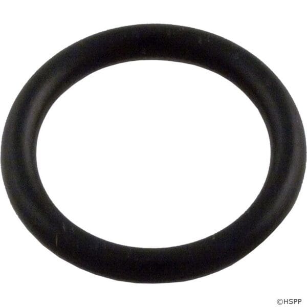 Pentair Oring Stem - 191479