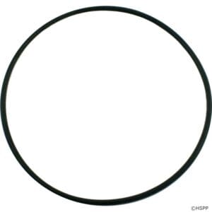 Pentair Oring for Tagelus 8.25" Valve Flange- 355619Z