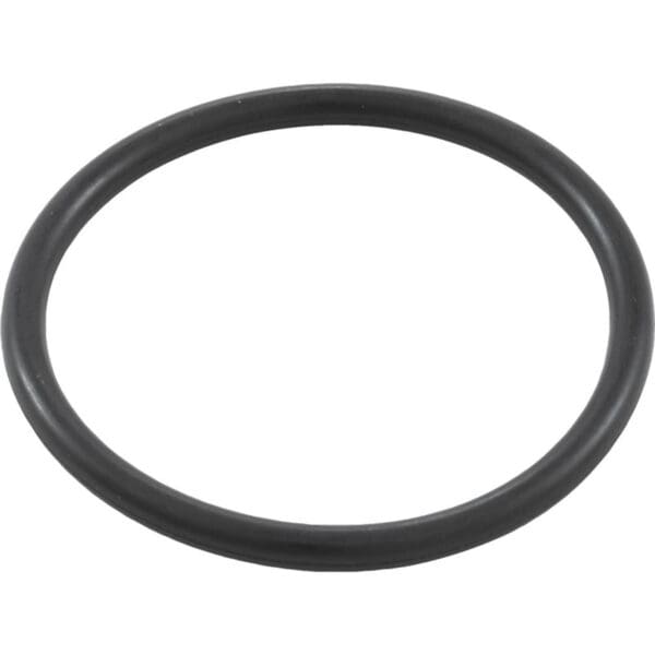 Waterway Oring for Filter Drain Cap - 805-0224