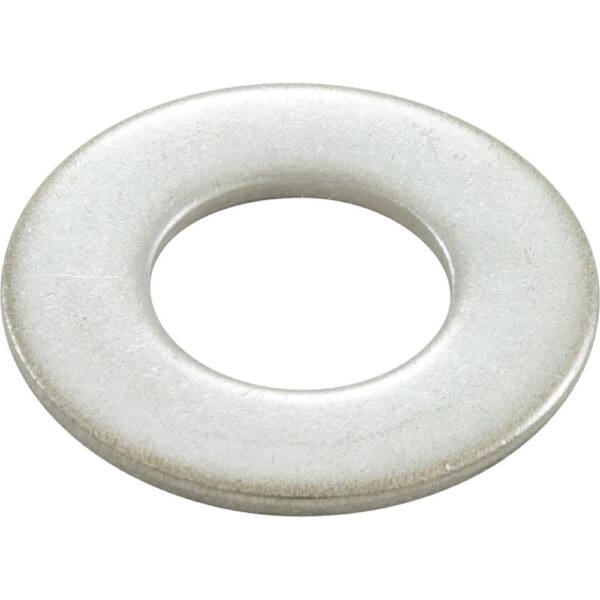 Pentair Flat Washer Stainless Steel for Seal Plate Eq Series Pump - 356789