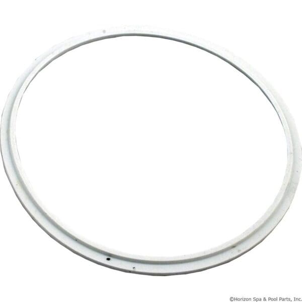 Pentair American Gasket Lens for Aqualumin Nicheless Light - 78880200