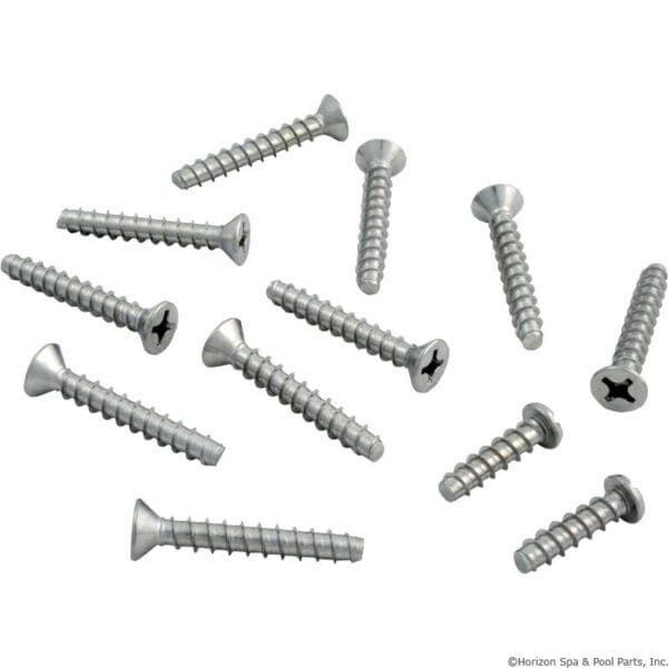 Hayward Screw Set for 10 Hole Light Niche - Spx0607Z1A