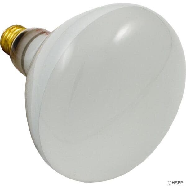 Super Pro Bulb 500W 120V R40 Med Bas - R40Fl500/Hg