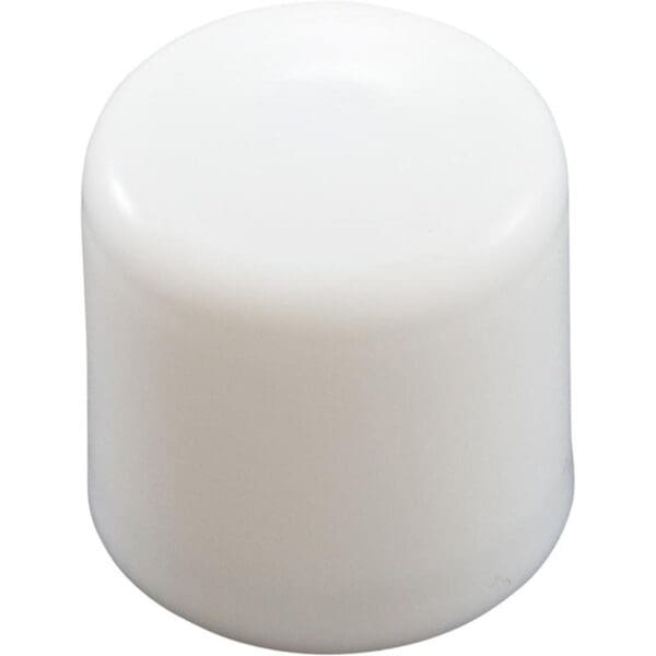 SR Smith Dive Nut Cap White - 05-618