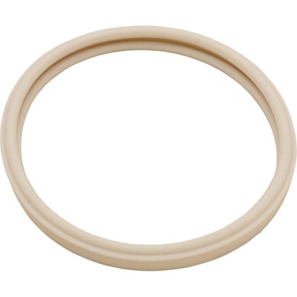 Pentair American Light Lens Gasket 8-3/8" Diameter for Amerlite Spectrum Sam - 79101600Z - Image 2