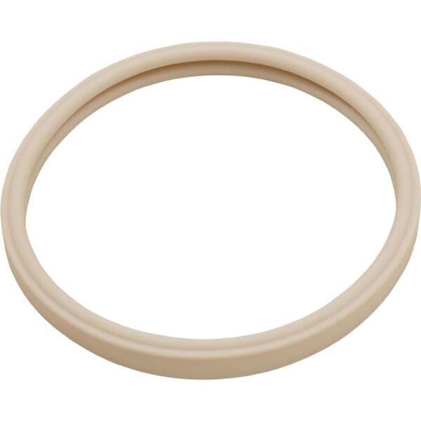 Pentair American Light Lens Gasket 8-3/8" Diameter for Amerlite Spectrum Sam - 79101600Z