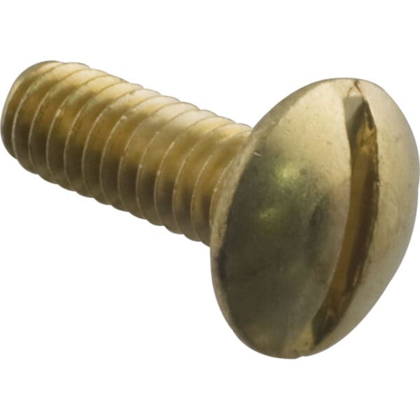 Pentair Impeller Lock Screw Left Hand Brass Sta-Rite Dura Maxe Cfa Pump