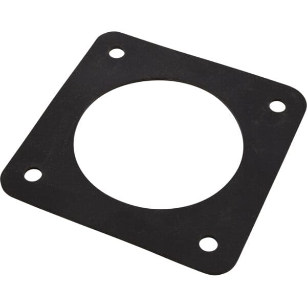 Pentair Gasket 3951200 F/ Ultra-Flow Pump Strainer To Volute American - Image 2