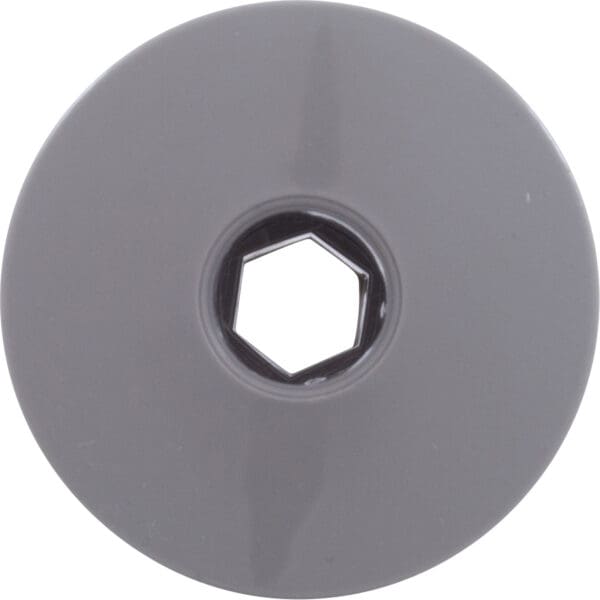 Waterway Jet Internal Ozone 1-1/2" Face Smooth Gray - Image 3